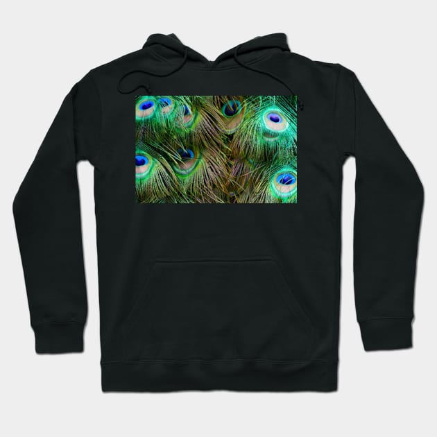 Peacock Feathers Hoodie by Rob Johnson Photography